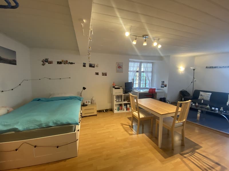 Perfekt gelegene 1-Zimmer Mietwohnung in Visp (4)