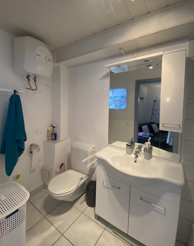 Perfekt gelegene 1-Zimmer Mietwohnung in Visp (7)