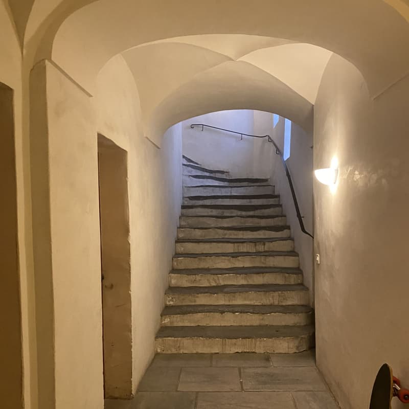 Perfekt gelegene 1-Zimmer Mietwohnung in Visp (3)