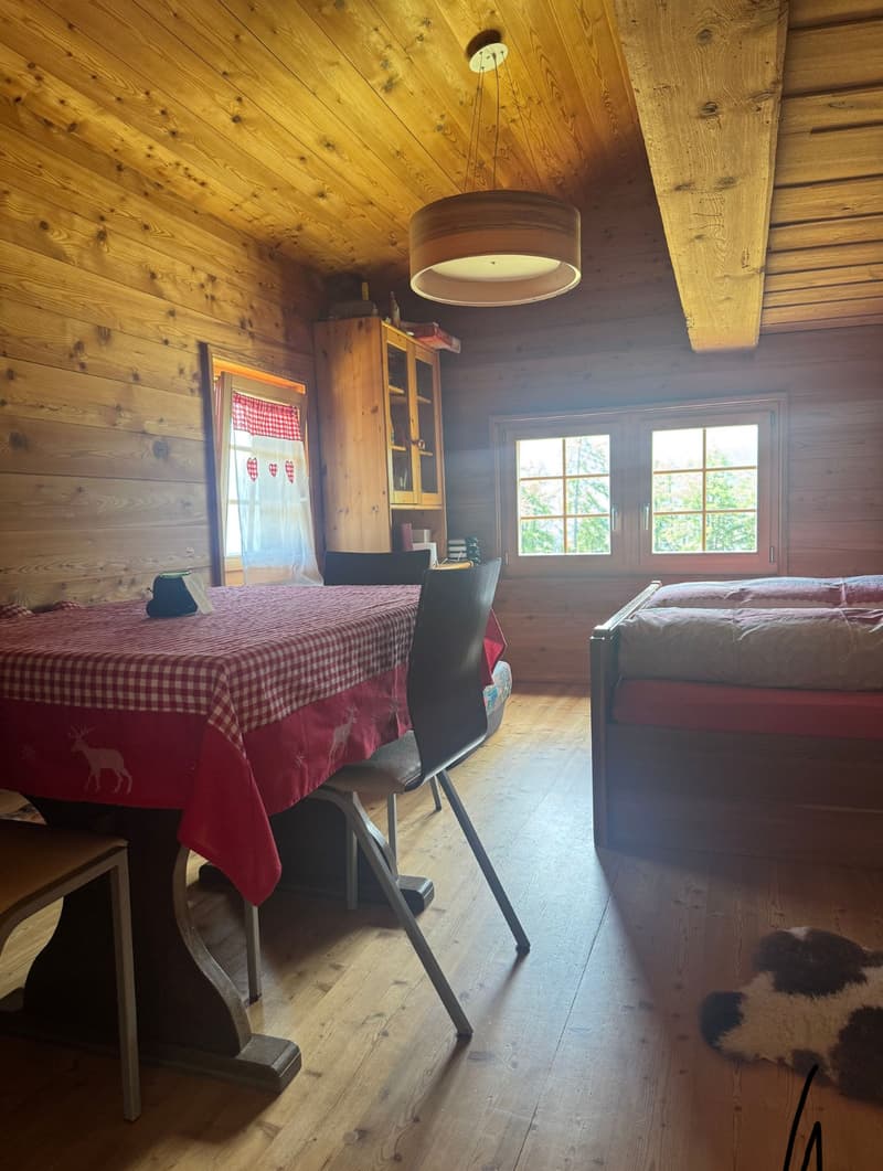 Chalet d'alpage dans le parc naturel de la vallée de Binn (6)