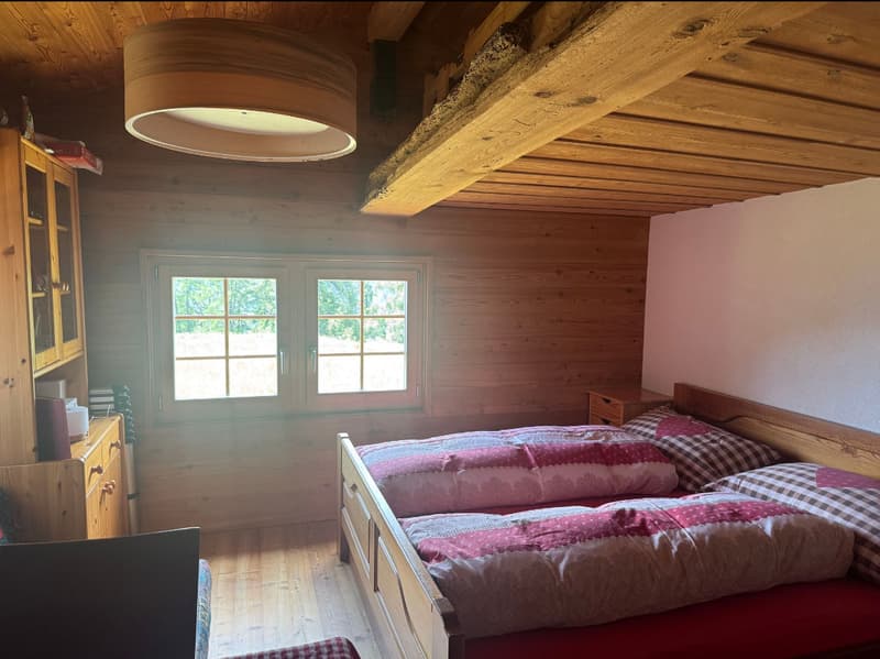 Chalet d'alpage dans le parc naturel de la vallée de Binn (5)