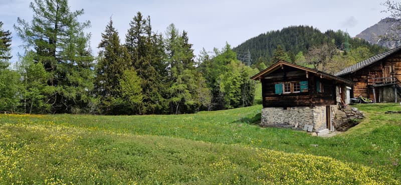 Chalet d'alpage dans le parc naturel de la vallée de Binn (2)