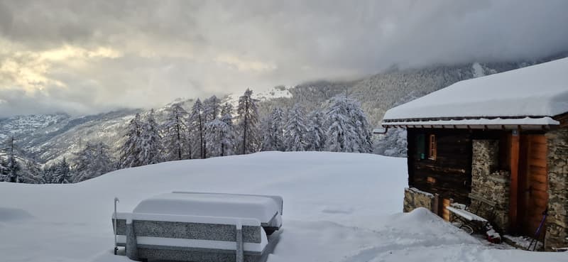 Chalet d'alpage dans le parc naturel de la vallée de Binn (3)