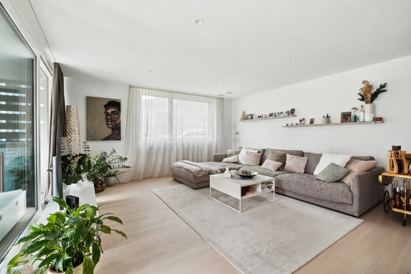 Appartement luxueux de 4.5 pièces (4)