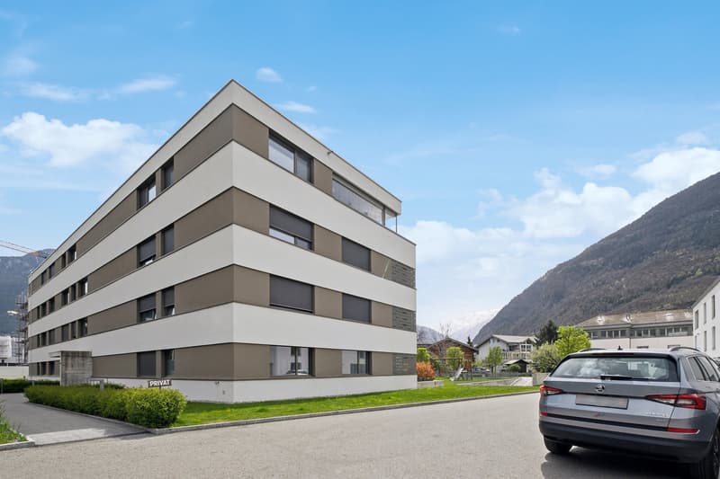 Appartement luxueux de 4.5 pièces (1)