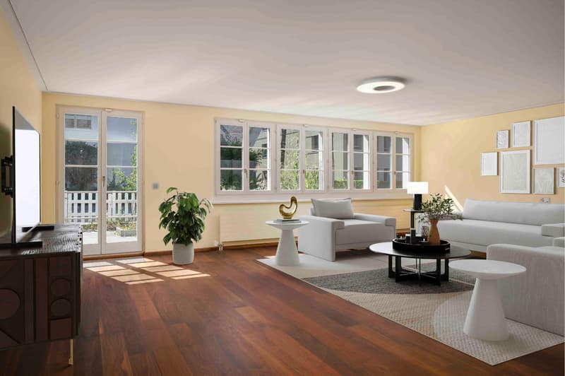 Dream Home with Space & Style (1)