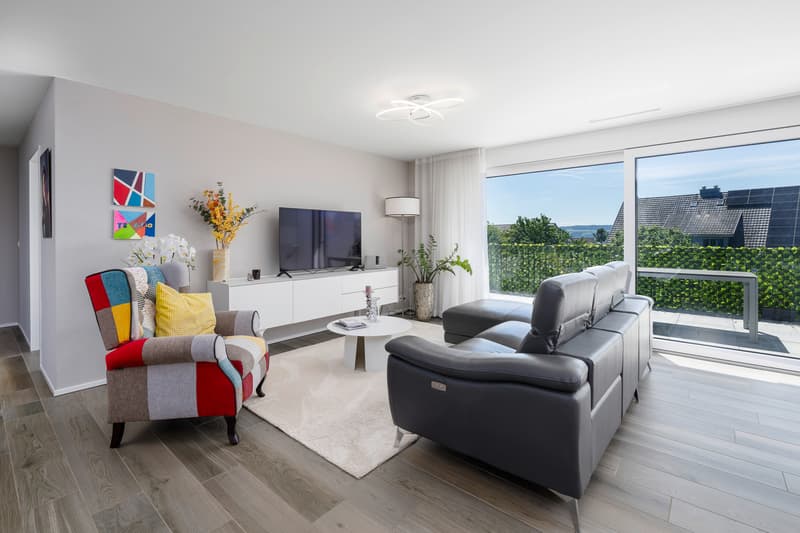 Modern living with elegance (2)
