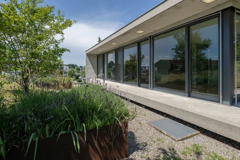 Design trifft Lebensraum (1)