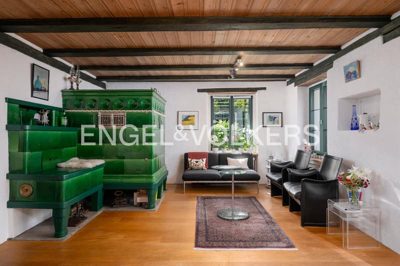 Casa Riegel storica con paradiso giardino (2)