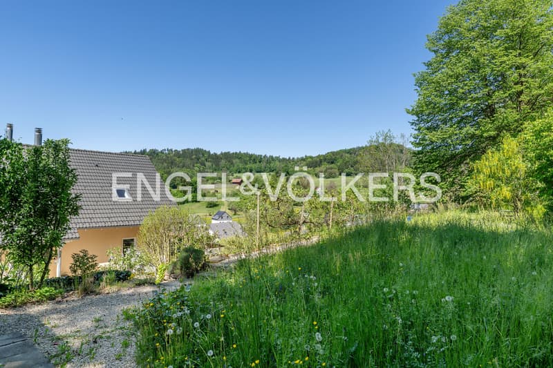 Attractive single-family house with annex and large grounds (6)