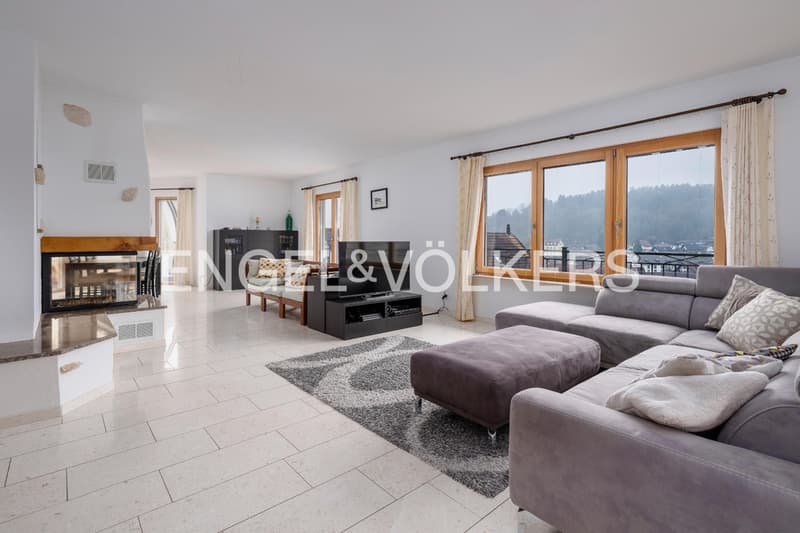 Attractive single-family house with annex and large grounds (2)