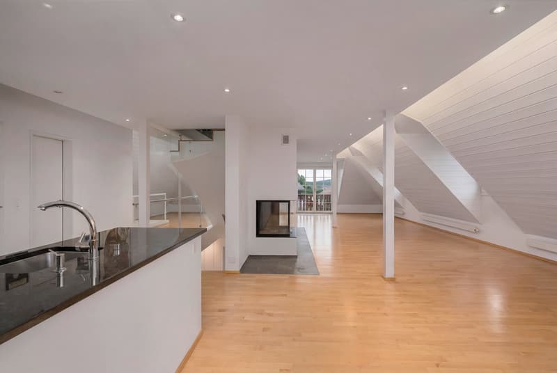Maison de 11 pièces avec 7 salles de bain & piscine (3)
