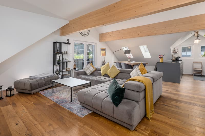 Generous living - central and modern (2)