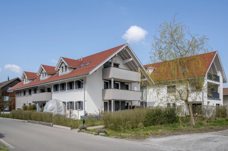 Generous living - central and modern (6)