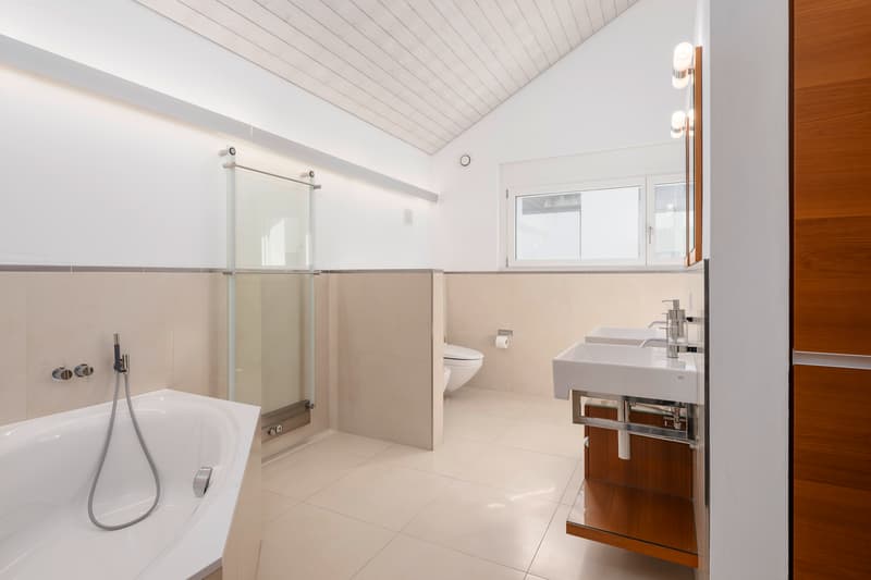Dreamlike Panorama - Exclusive Villa with Far-reaching View (3)