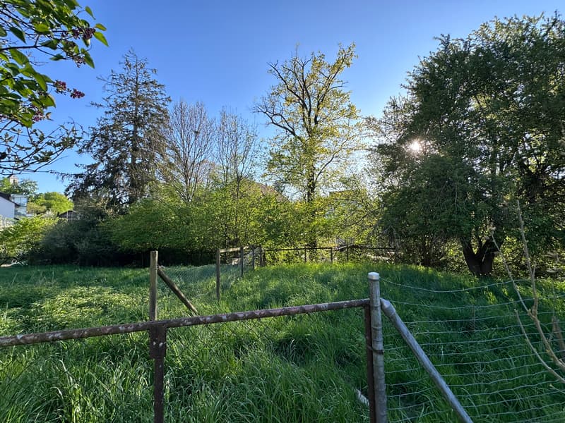 Land with potential (3)