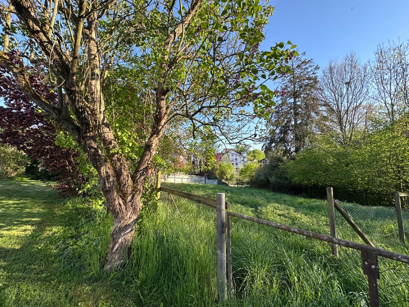 Land with potential (4)