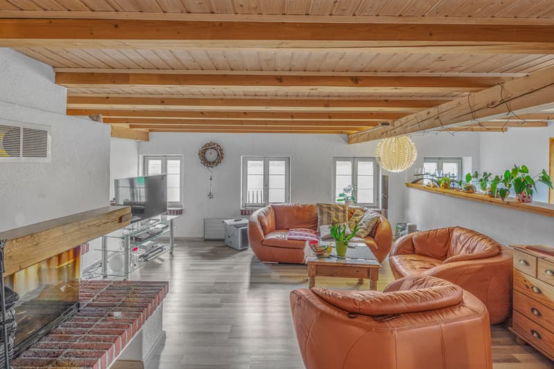 Grosszügiges Zweifamilienhaus mit Wohnmobilgarage (4)