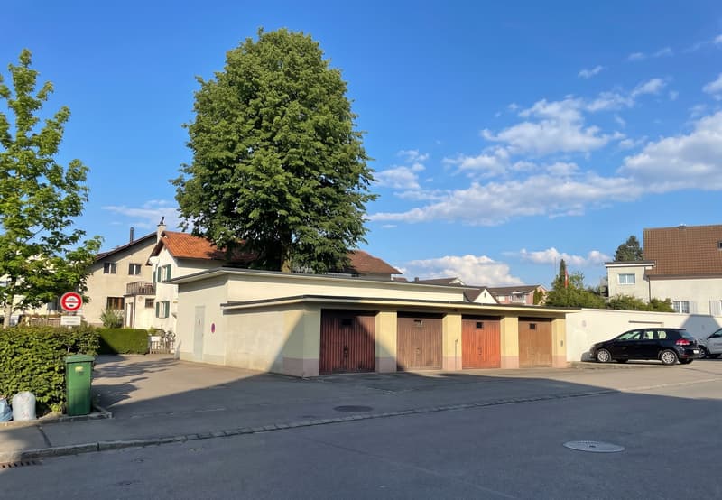Sonniges Grundstück mit Potential in Rüti (2)