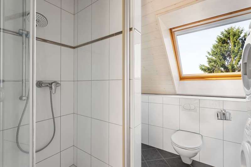 Dachwohnung: Zentral & Alpenblick (5)