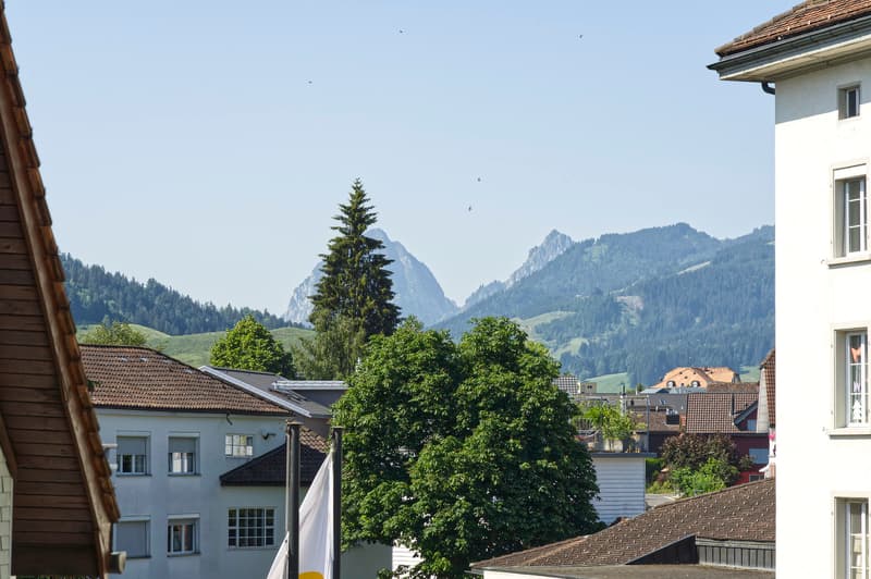 Urban lifestyle in the village center: Attractive 3.5-room apartment (3)