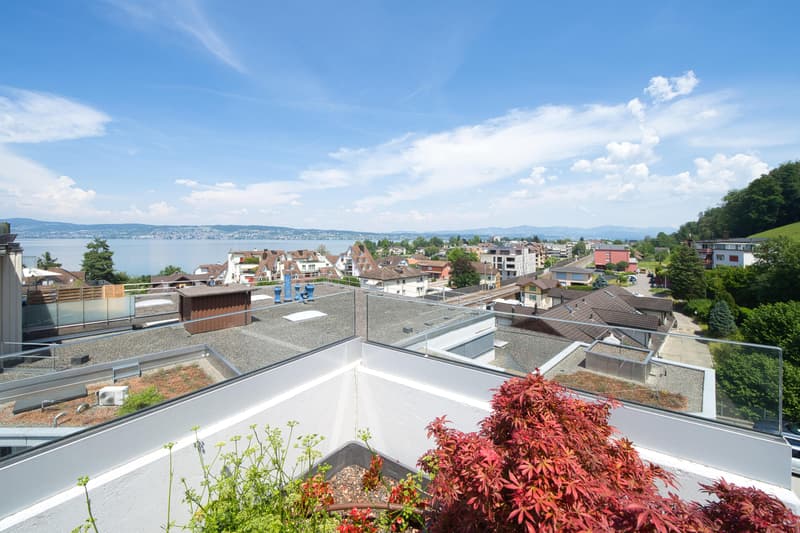 Exklusives Wohnen mit Seesicht in Bäch SZ (11)