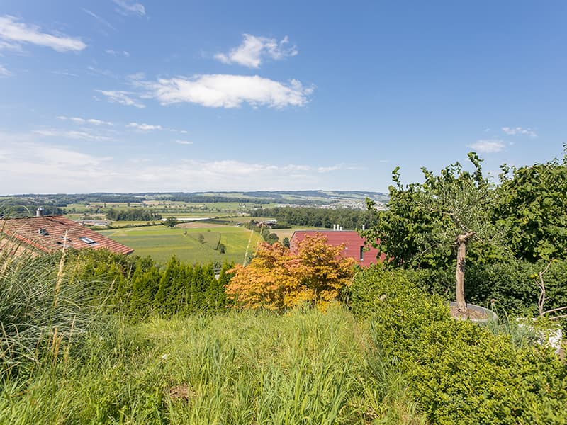 Panorama Sunset | Einfamilienhaus (10)