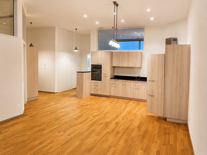 Inducta Loft | Wohnung (3)
