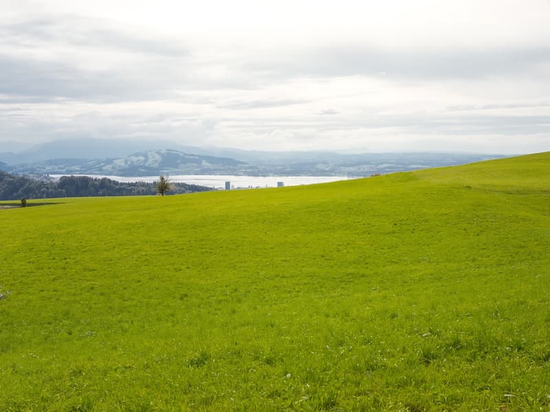 Residential and commercial building with great development potential in the canton of Zug (4)