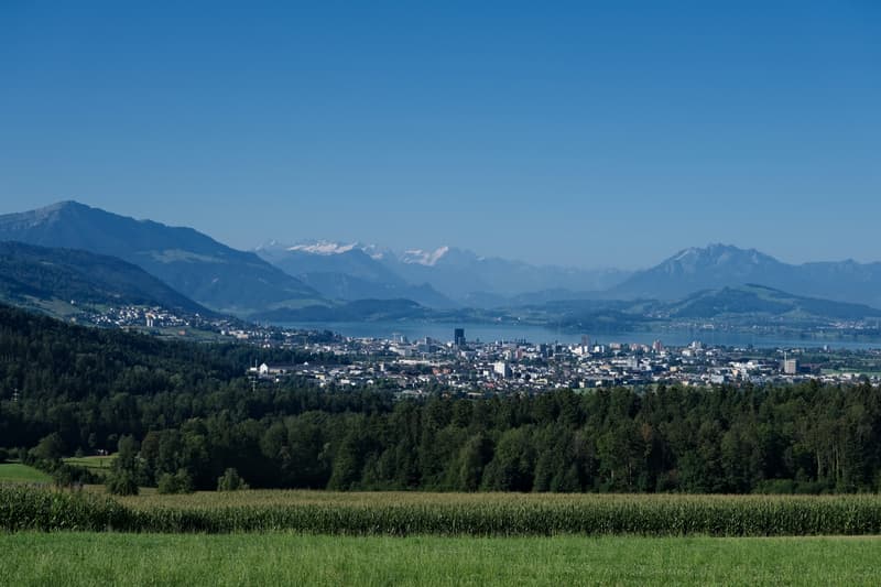 2'400 m2 Gewerbe-Bauland im Kanton Zug (1)