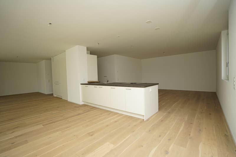 Spacious, modern loft apartment - stylish living on 92m² (3)