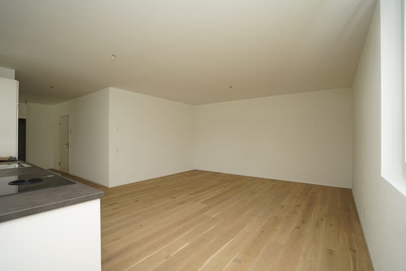 Spacious, modern loft apartment - stylish living on 92m² (4)