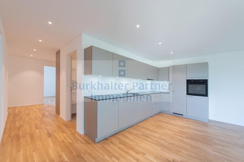 Attikawohnung in Lyss gesucht? (5)
