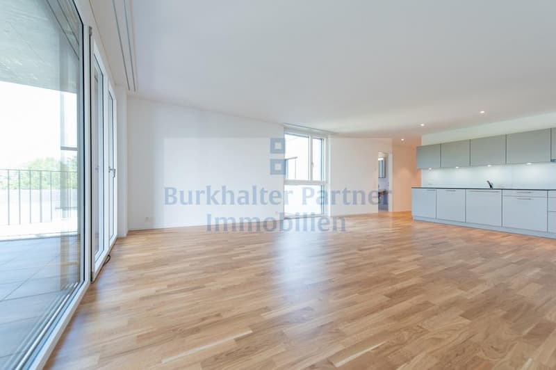 Attikawohnung in Lyss gesucht? (2)