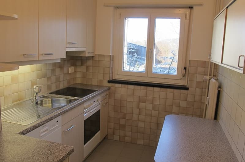 Bright and spacious 3.5-room apartment for rent (2)