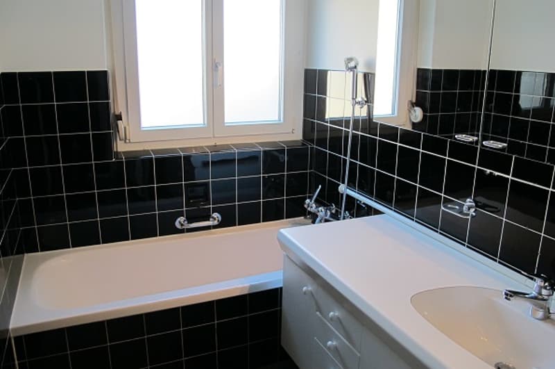 Bright and spacious 3.5-room apartment for rent (3)