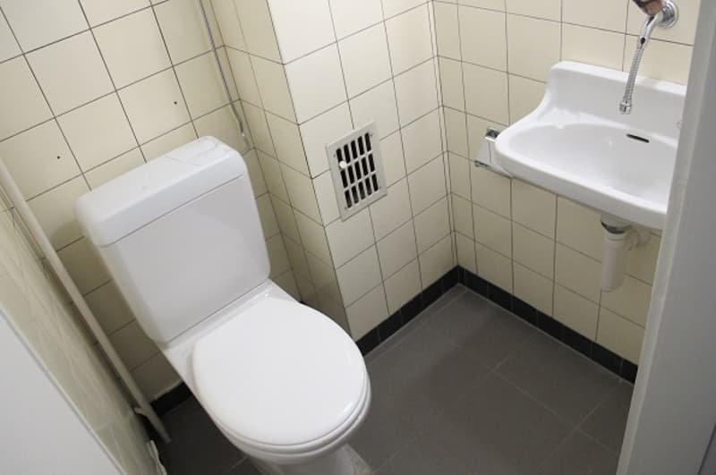 Bright and spacious 3.5-room apartment for rent (4)