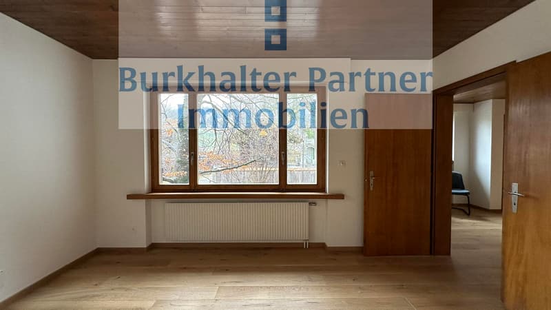 Bright 2.5-room apartment (4)