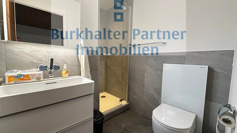 Bright 2.5-room apartment (6)