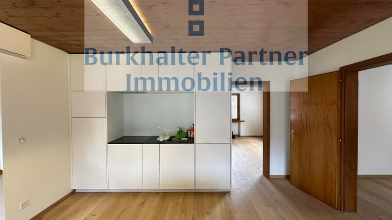 Bright 2.5-room apartment (2)