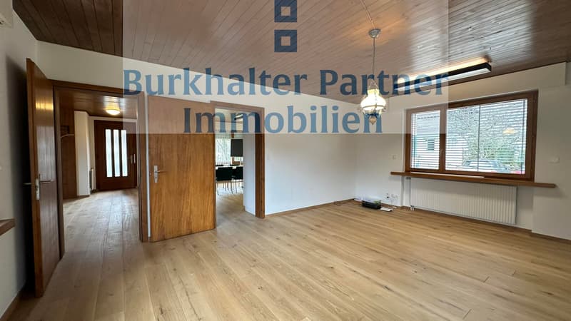 Bright 2.5-room apartment (3)