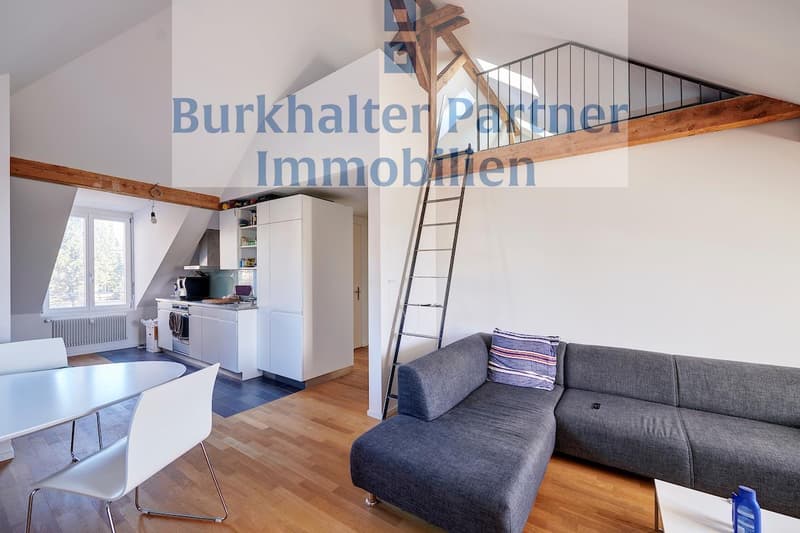 Wunderschöne Dachwohnung mit Galerie in der vorderen Länggasse! (4)