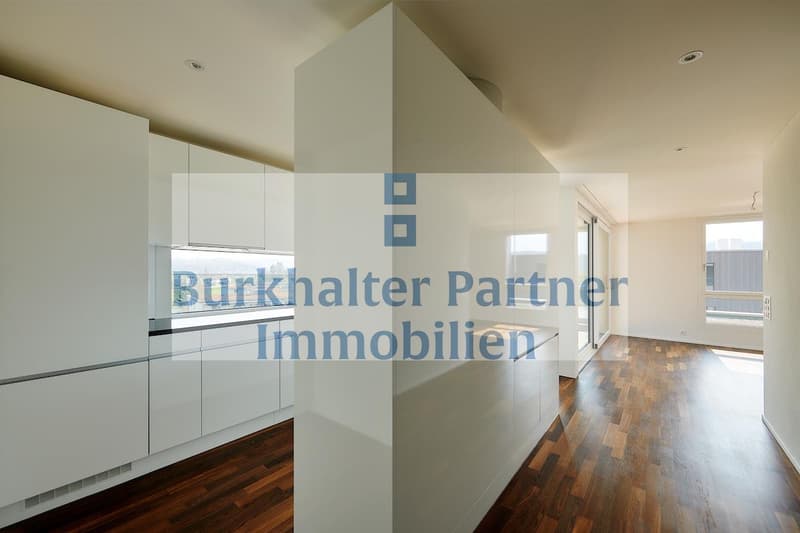 Grand appartement en attique recherché ? (3)
