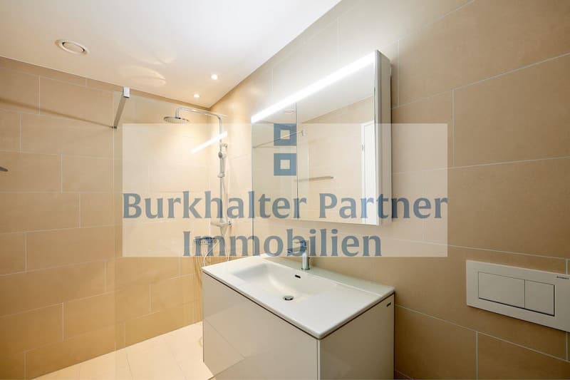 Grand appartement en attique recherché ? (5)