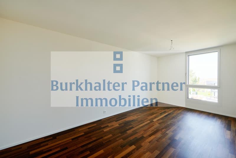 Grand appartement en attique recherché ? (6)