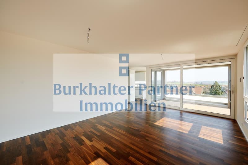 Grand appartement en attique recherché ? (4)