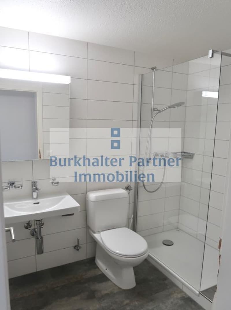 Appartement 4,5 pièces avec vue sur la chaîne des Alpes ! (3)