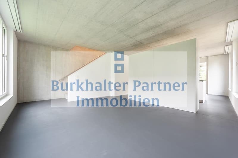 Stilvolle Duplexwohnung mit grosszügigem Grundriss (3)