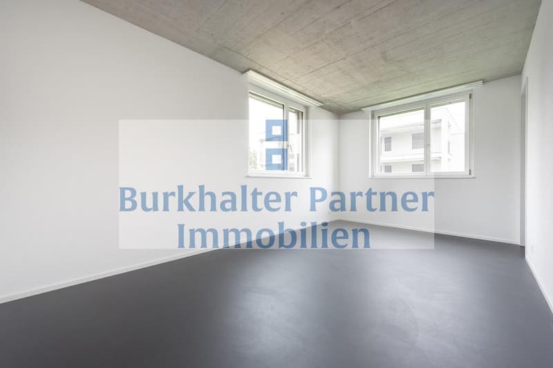 Stilvolle Duplexwohnung mit grosszügigem Grundriss (6)