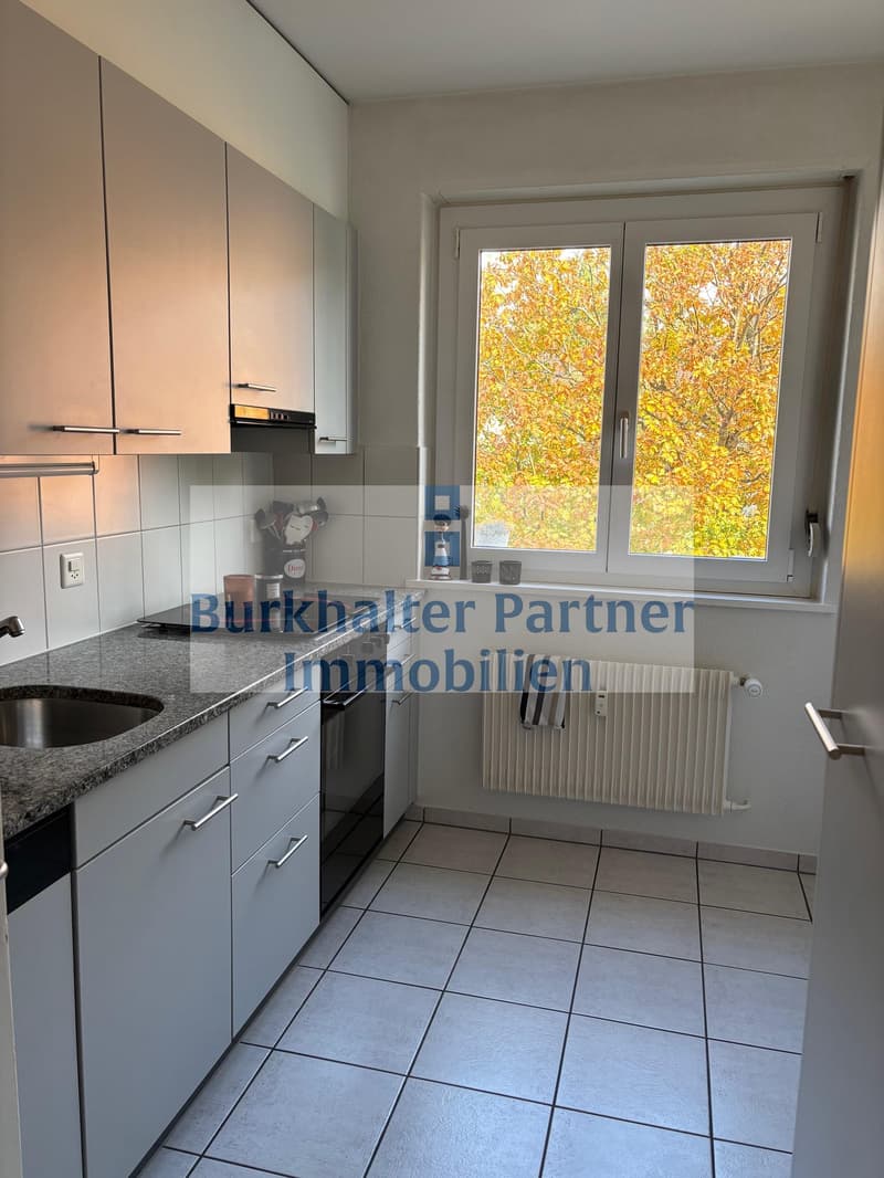 Appartement 4 pièces attractif dans le quartier populaire de Breitenrain (4)